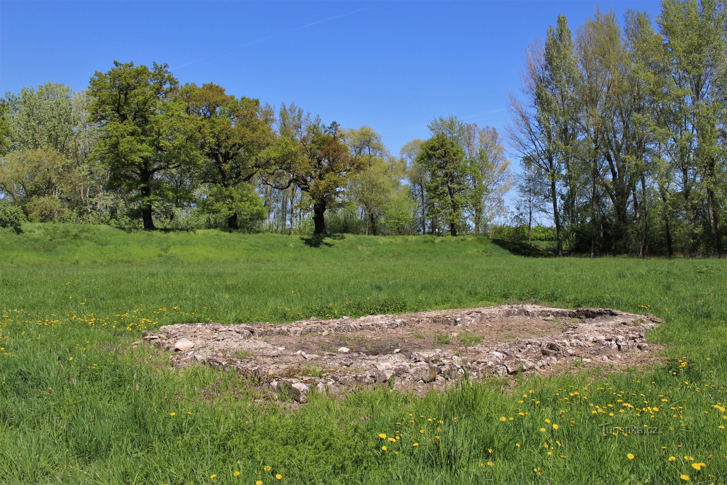 Dolnovéstonische eiken op de wal van het Oud-Slavische kasteel