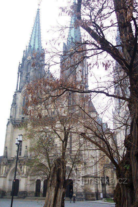Cathédrale de St. Venceslas, Olomouc