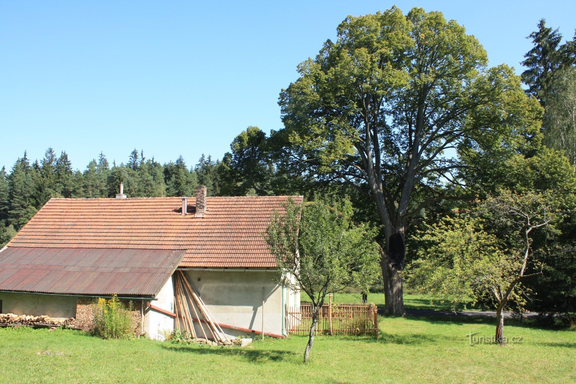 Une maison avec un tilleul de Drašar