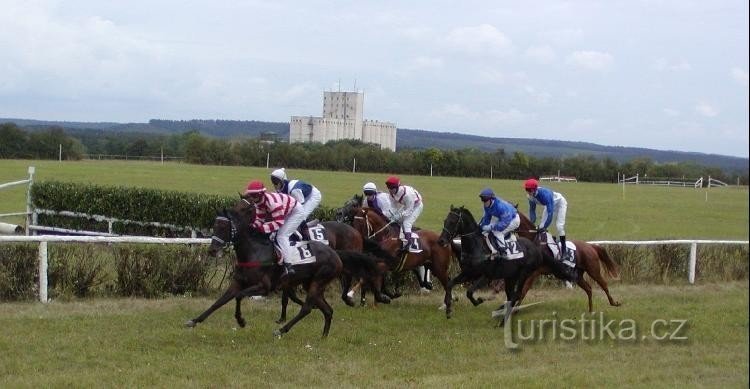 Carreras de caballos en Mimoni