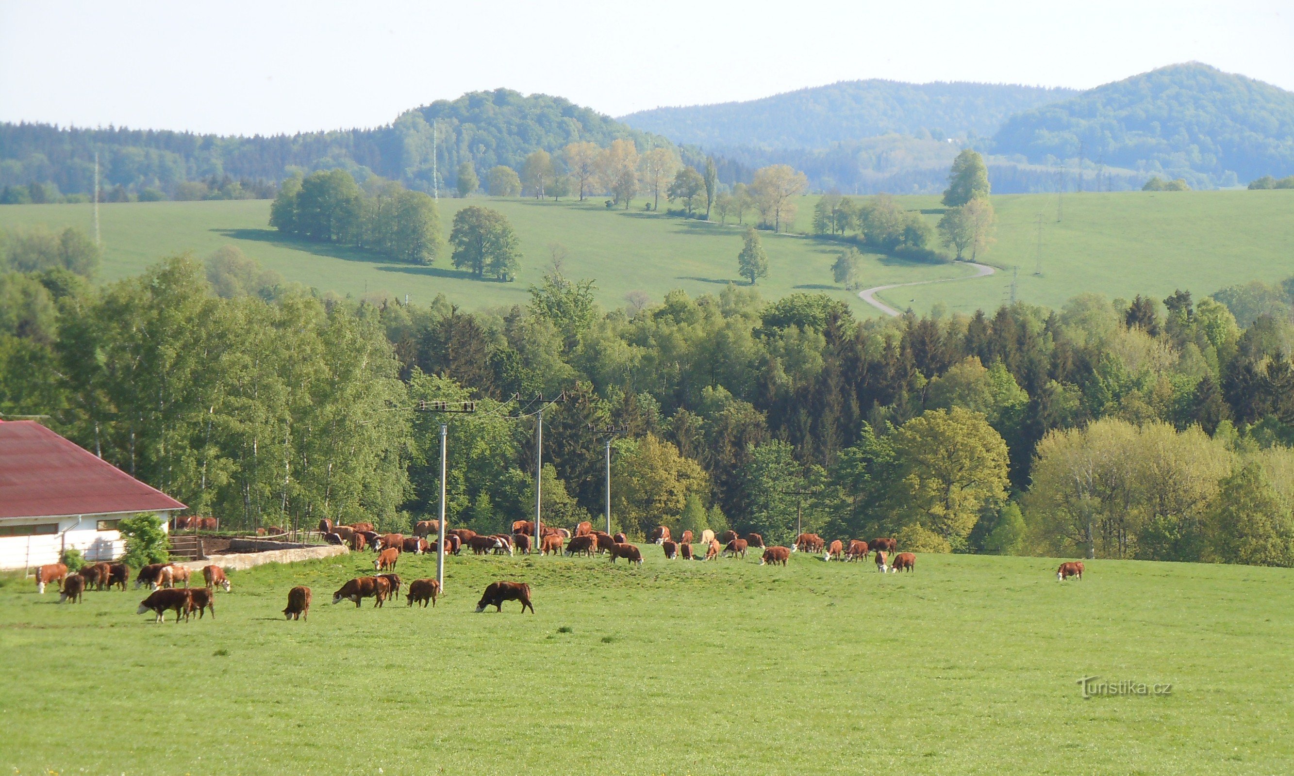 Doubice - omringende natuur