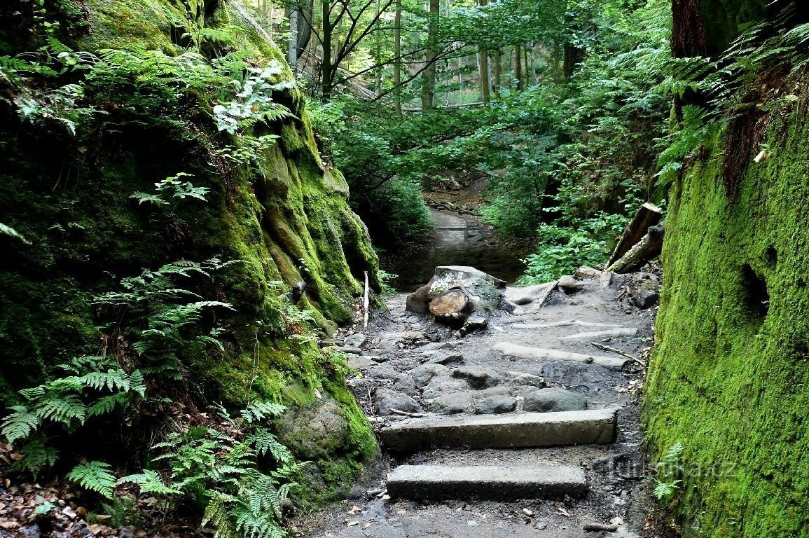 Urlaub in Českolipska, Teil 3, kleinere Schwierigkeiten und Pravčická brána