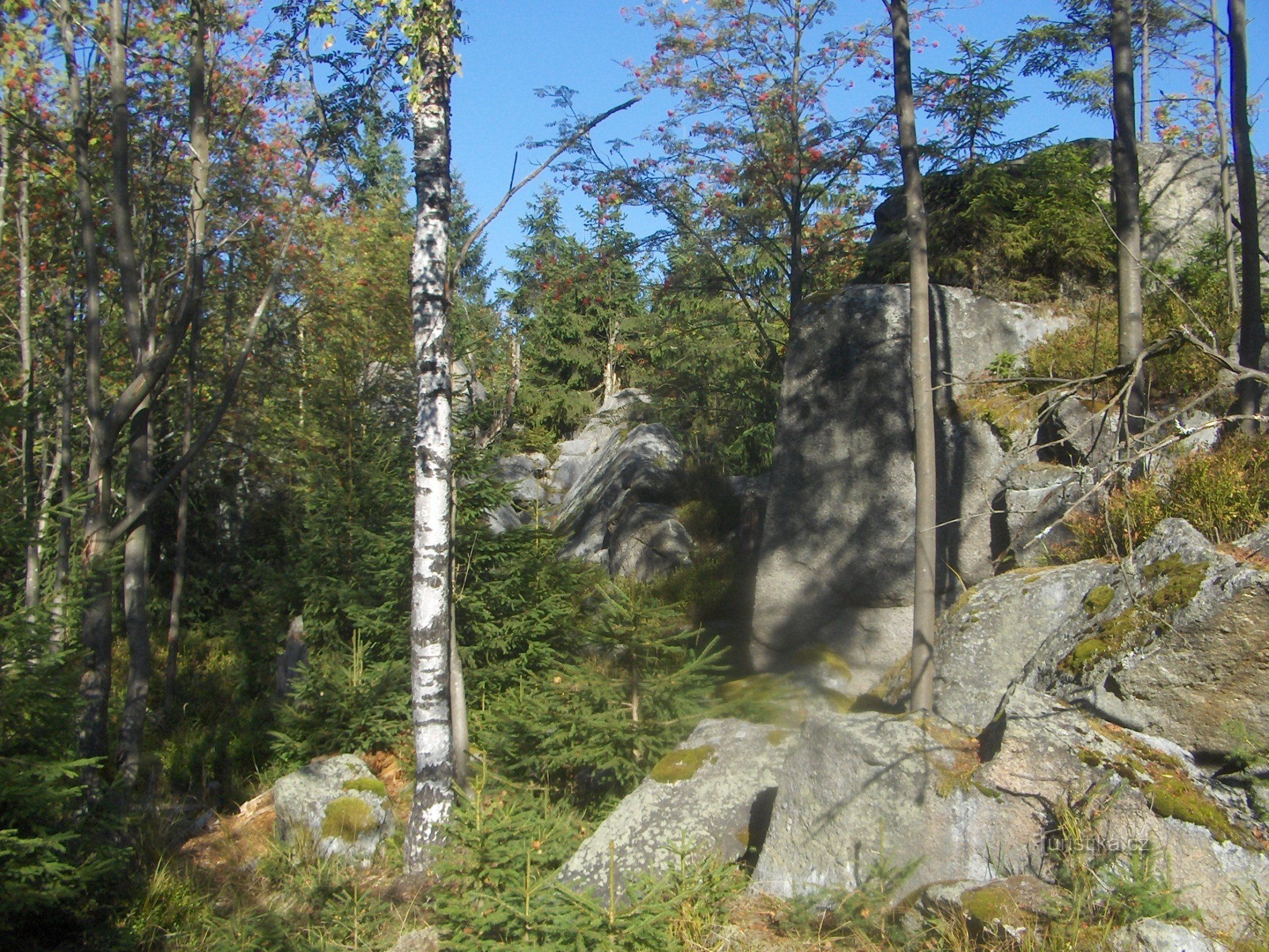 Drachenfels