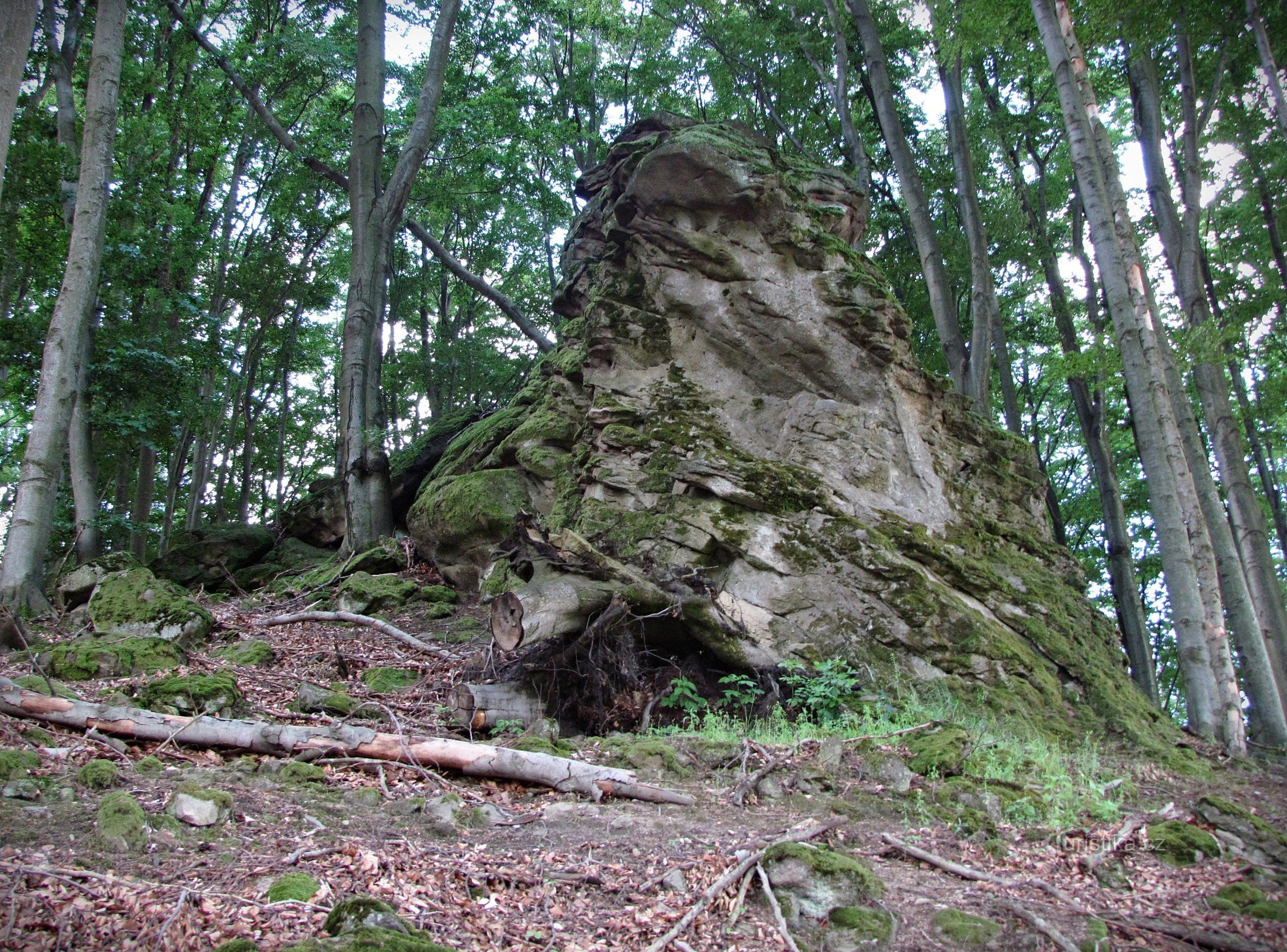 Drachenfelsen im Schloss