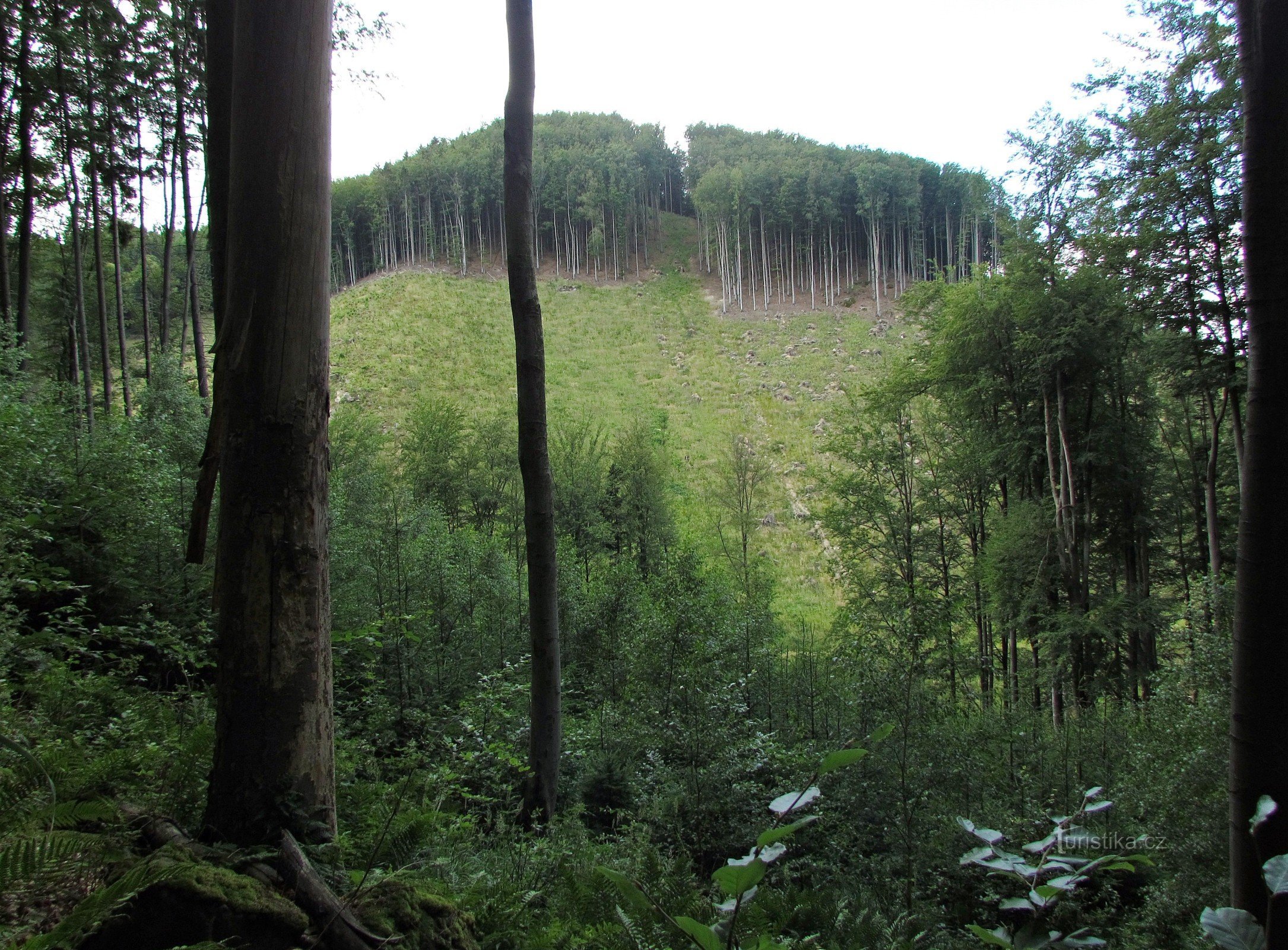 Drachenfelsen im Schloss