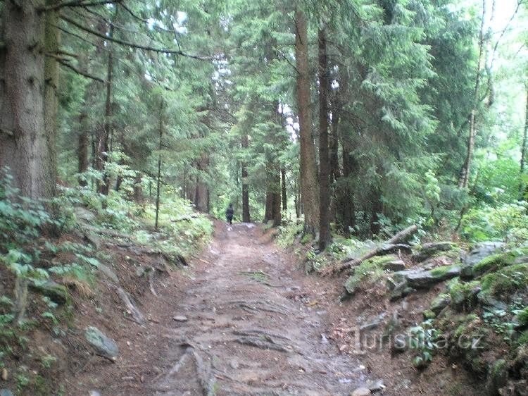 Dračí skály: A estrada de Svojše para Dračí skály.