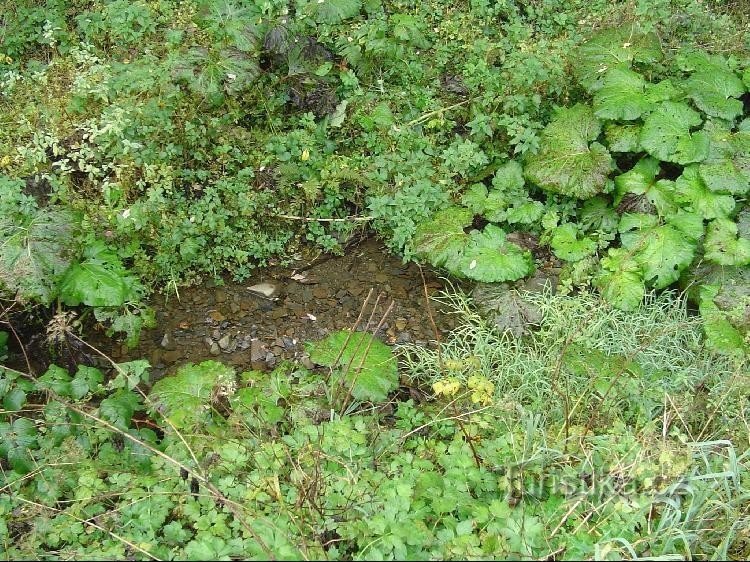 Drahotusský potok: Stream in Kunzów