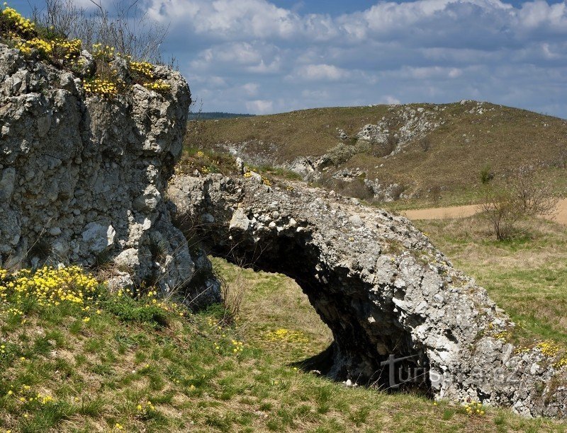 Drásovský kopeček