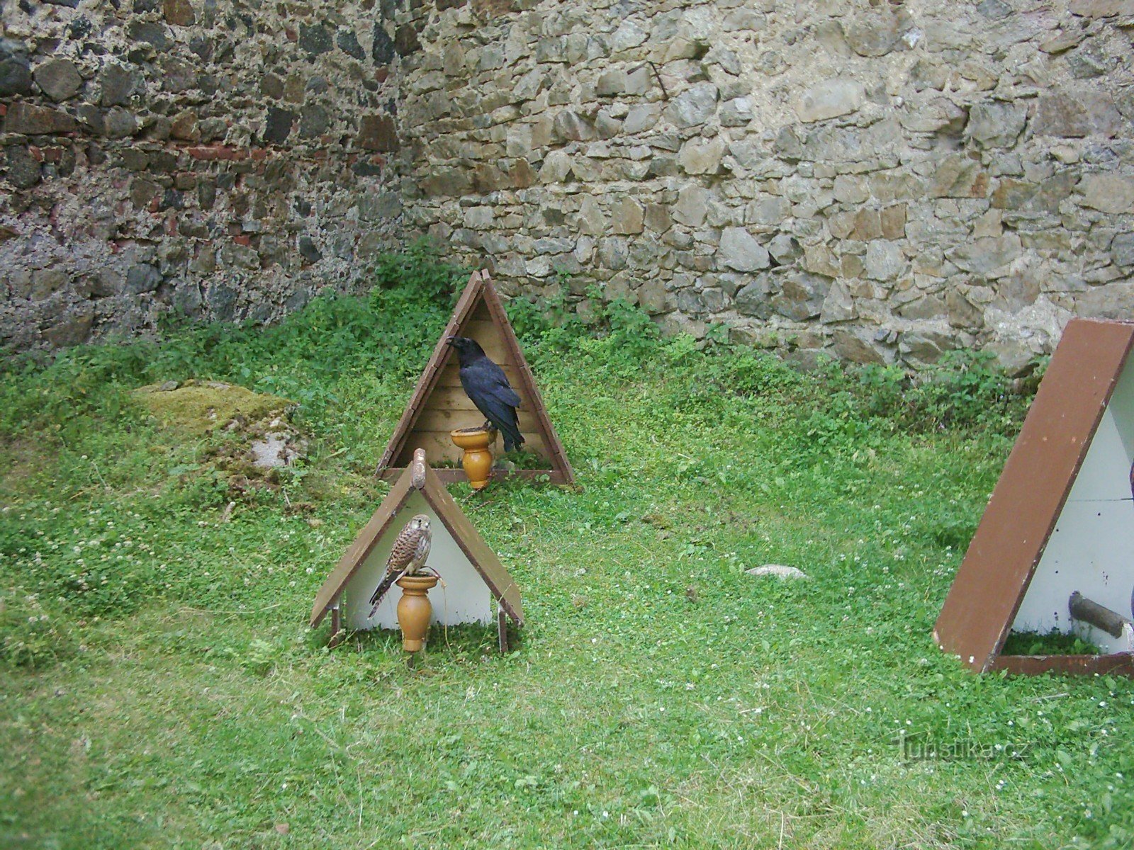 roofdieren op Helfenburg