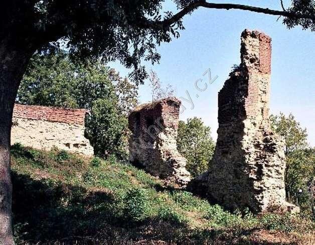 Dražice
