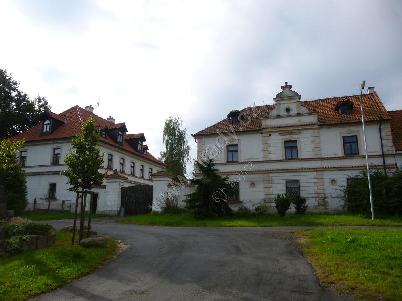 Dražičky