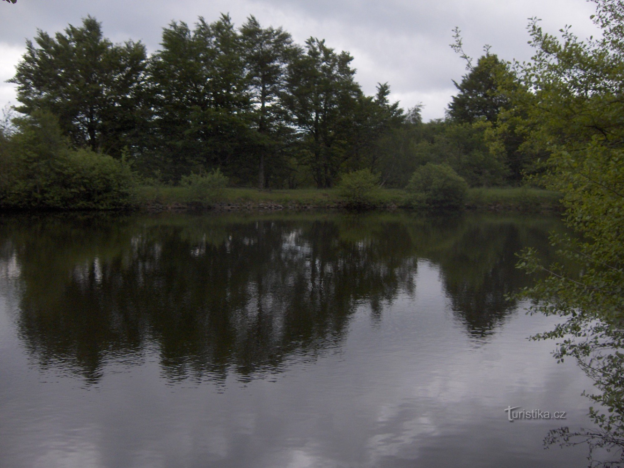 材木の池