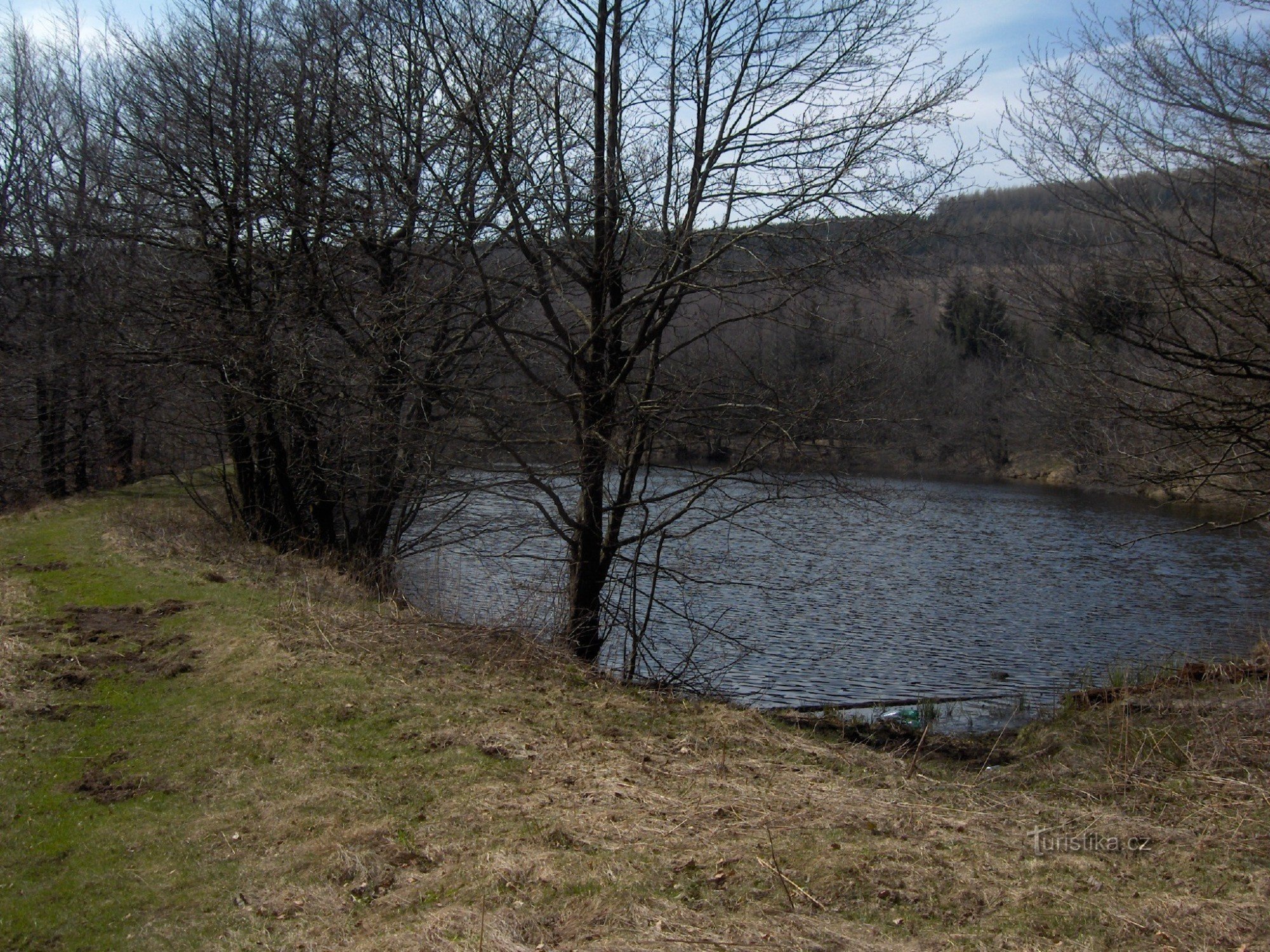 Timber pond