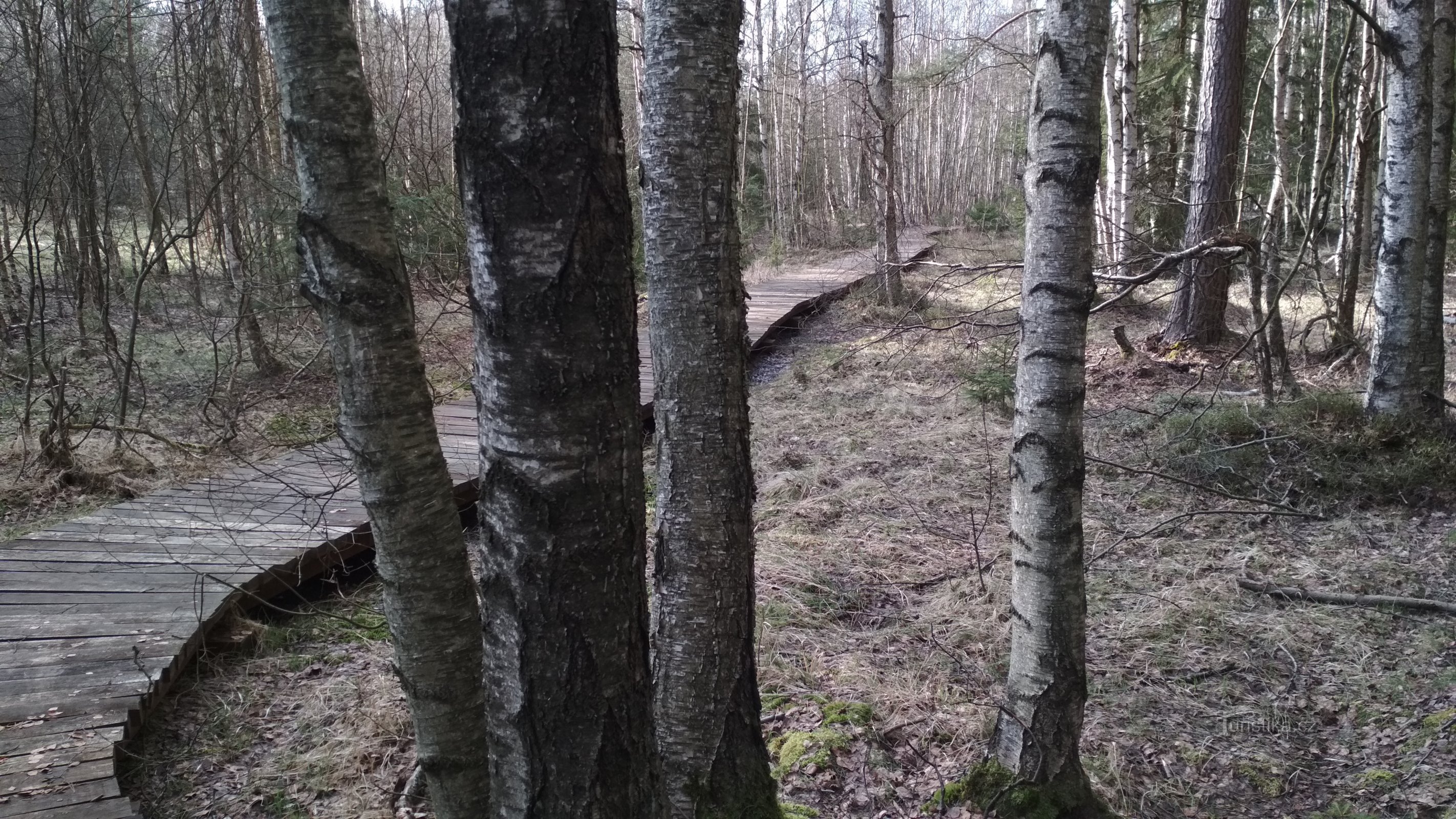 partie en bois du trottoir