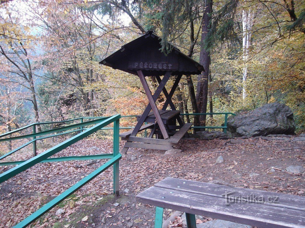 Structure en bois avec auvent