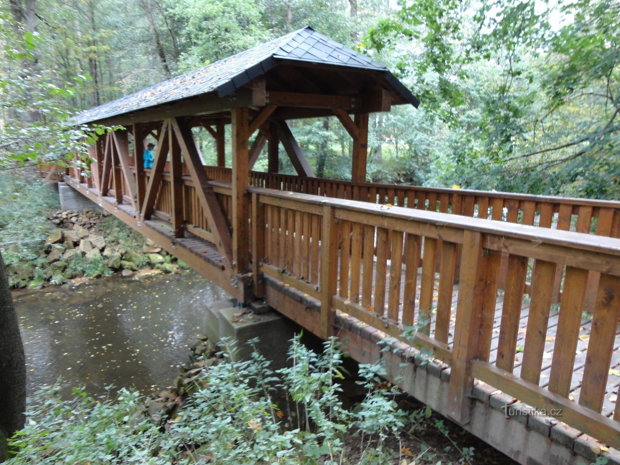 Drveni pješački most preko Upe