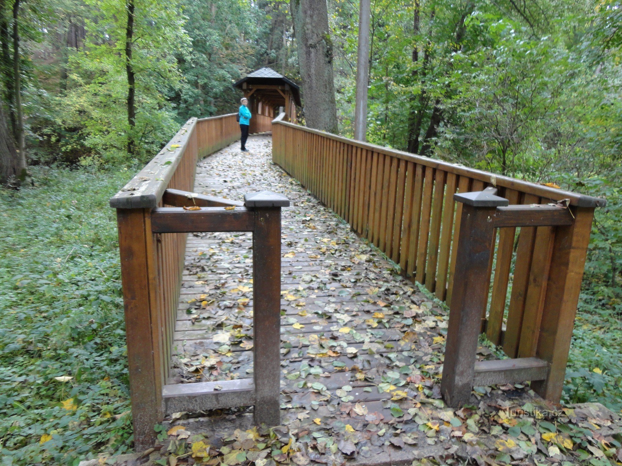 Passerelle en bois sur l'Úpa