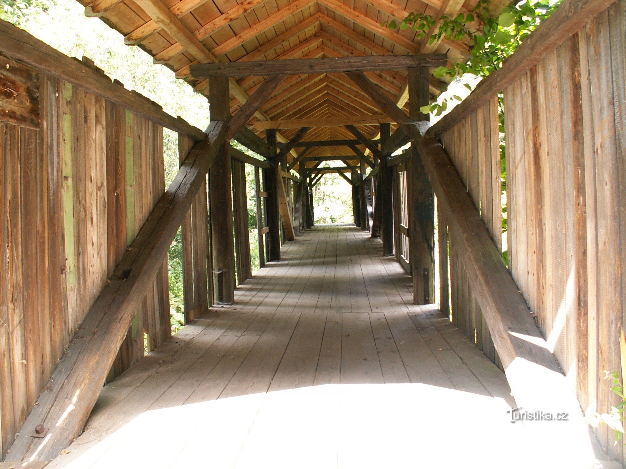 木製の歩道橋 - 突然