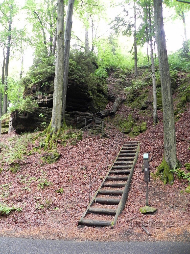 Escalones de madera