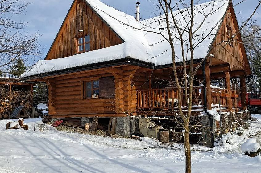 Drevenica pod vŕbami