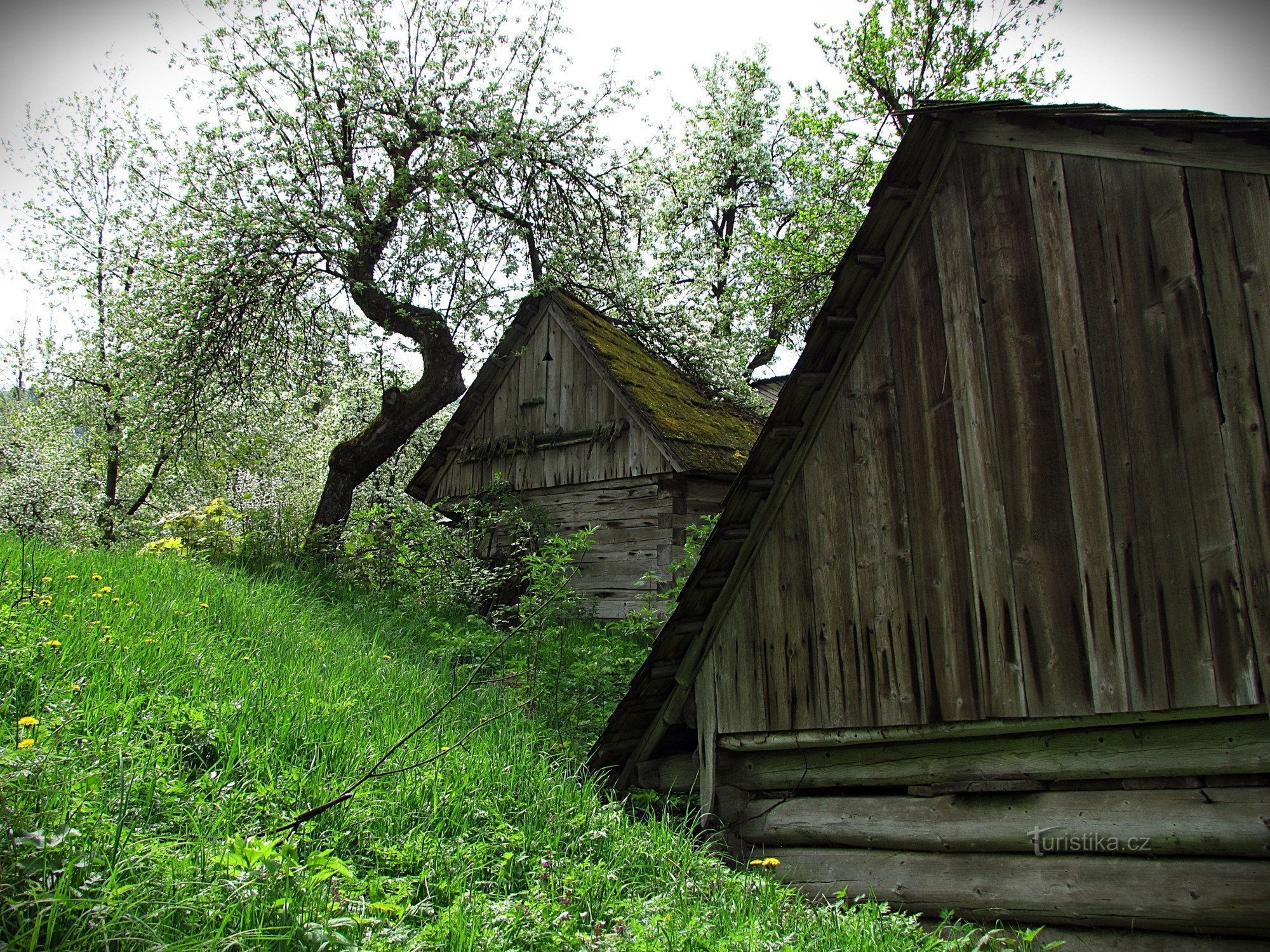 houten huis van de familie Orság