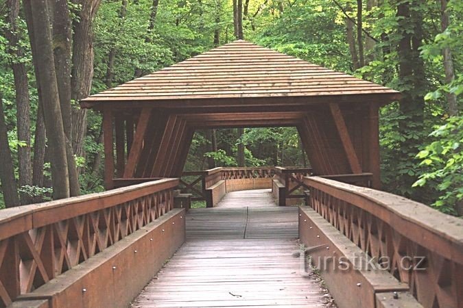Dřevěný most