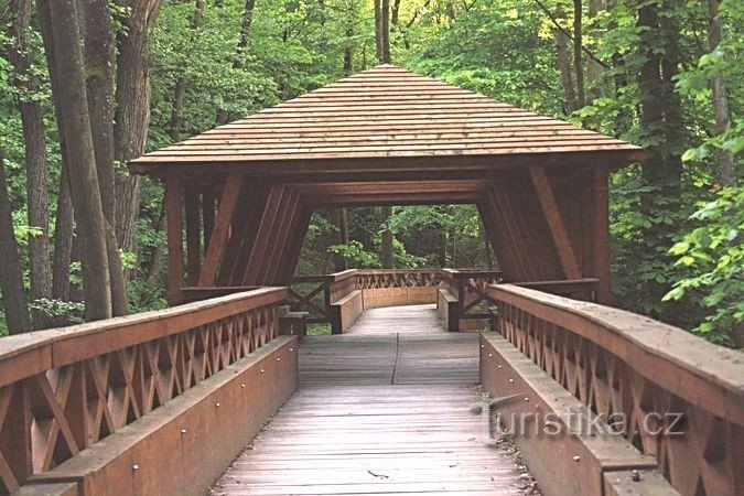 Wooden bridge