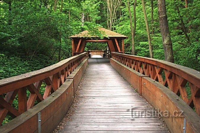 Holzbrücke