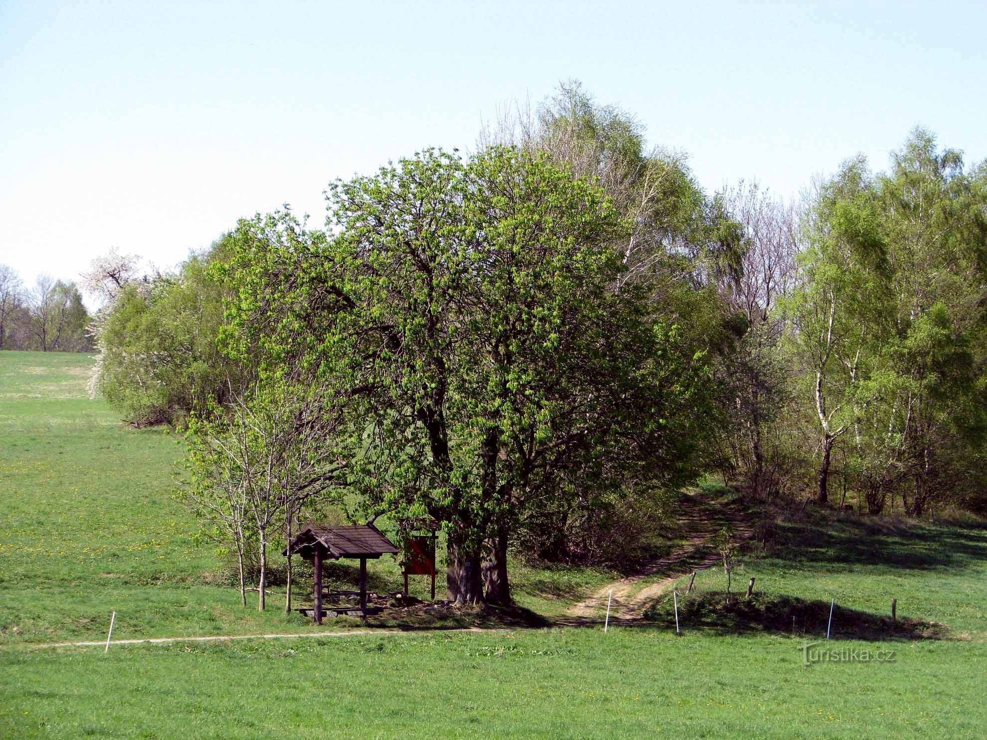 Holzschuppen Nad Janem