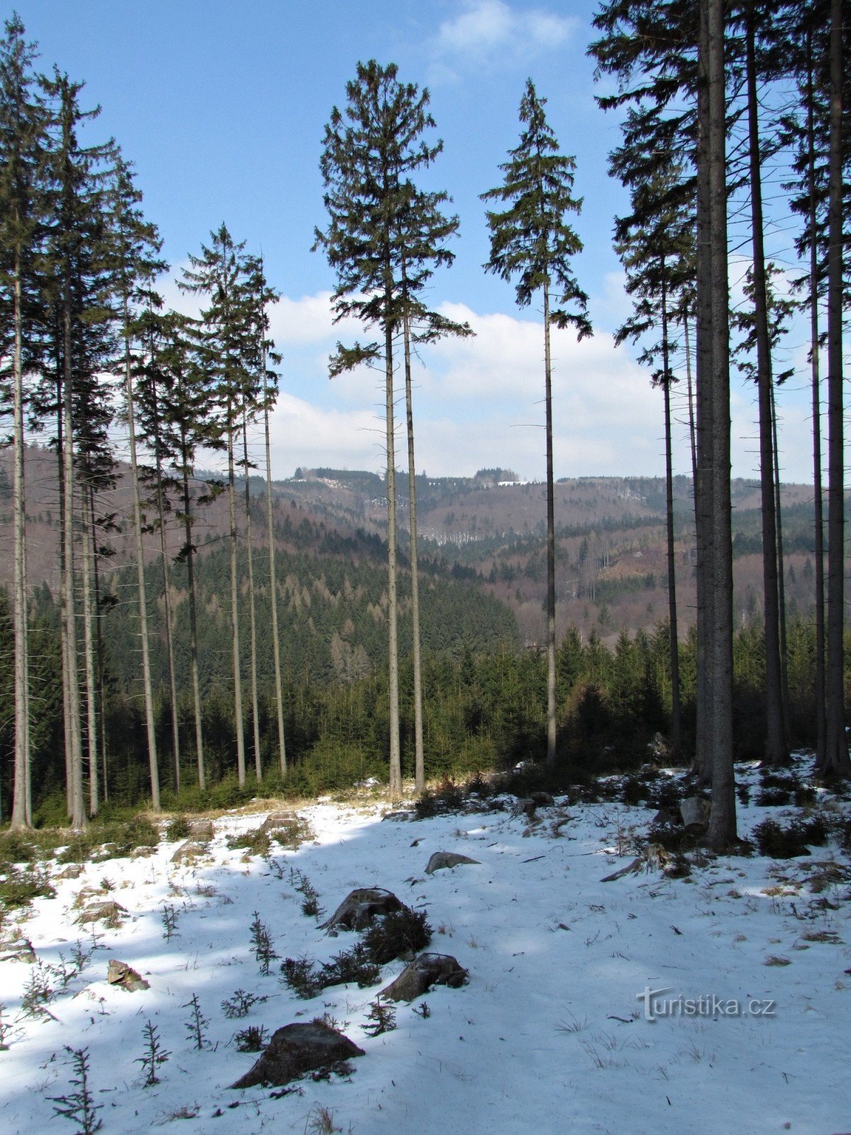 Jardim de rochas Dřevnická perto de Držková