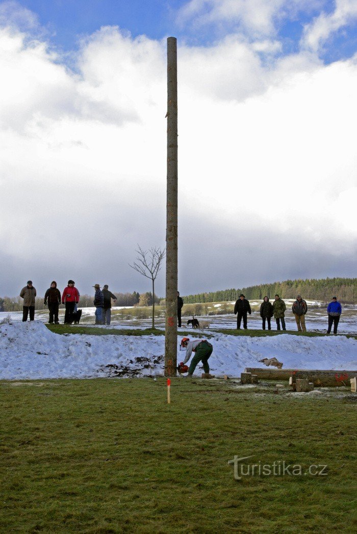 Vuoden metsuri 2014