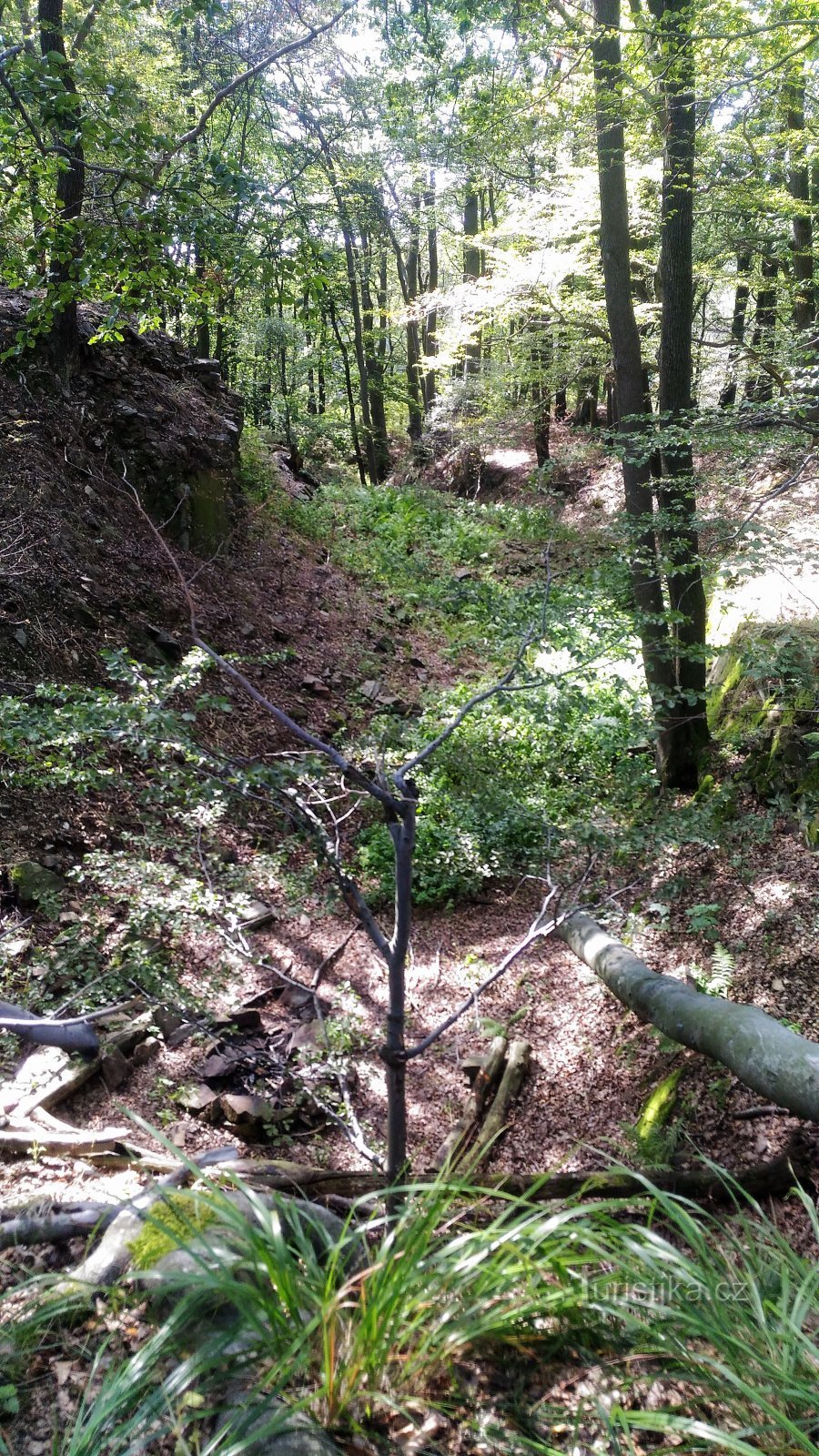 Deuxième fossé du château