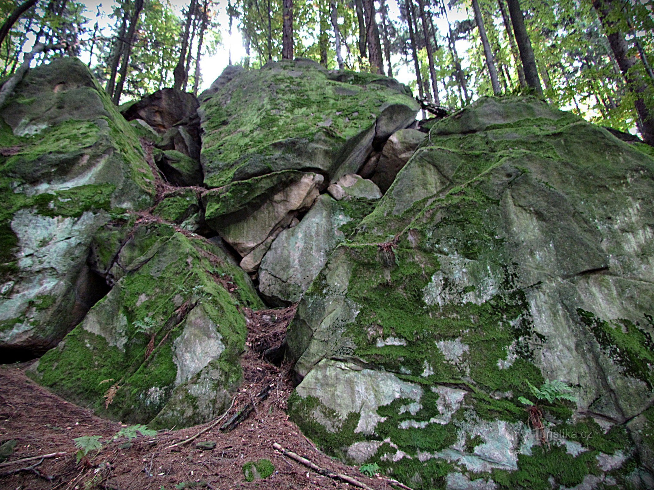 Držková - Скелястий хребет на захід від заповідника Голік