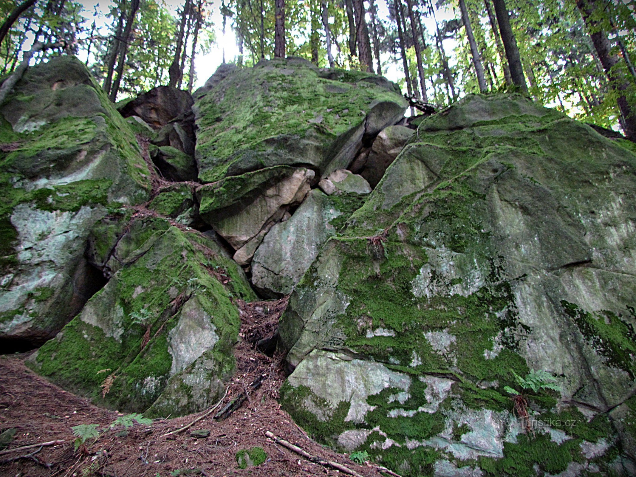 Držková - cume rochoso a oeste da reserva Holík