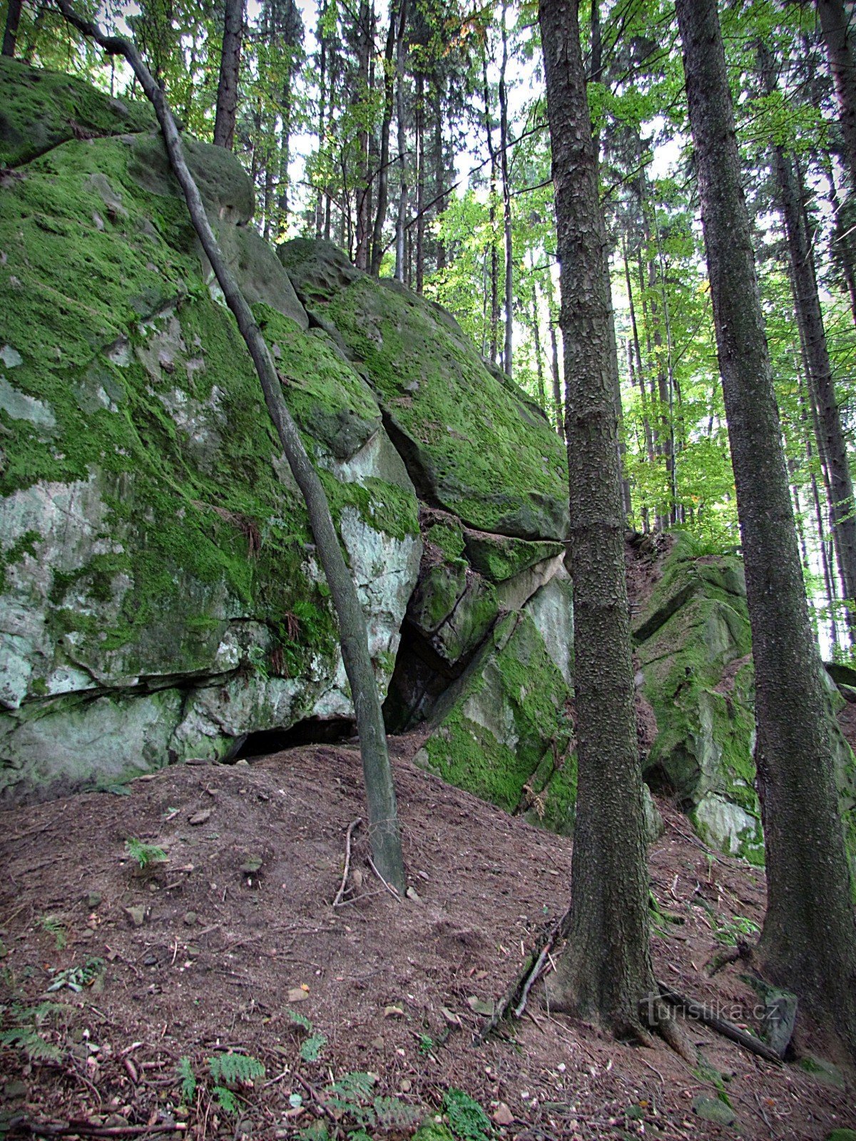 Držková - Rotsachtige bergkam ten westen van het Holík-reservaat