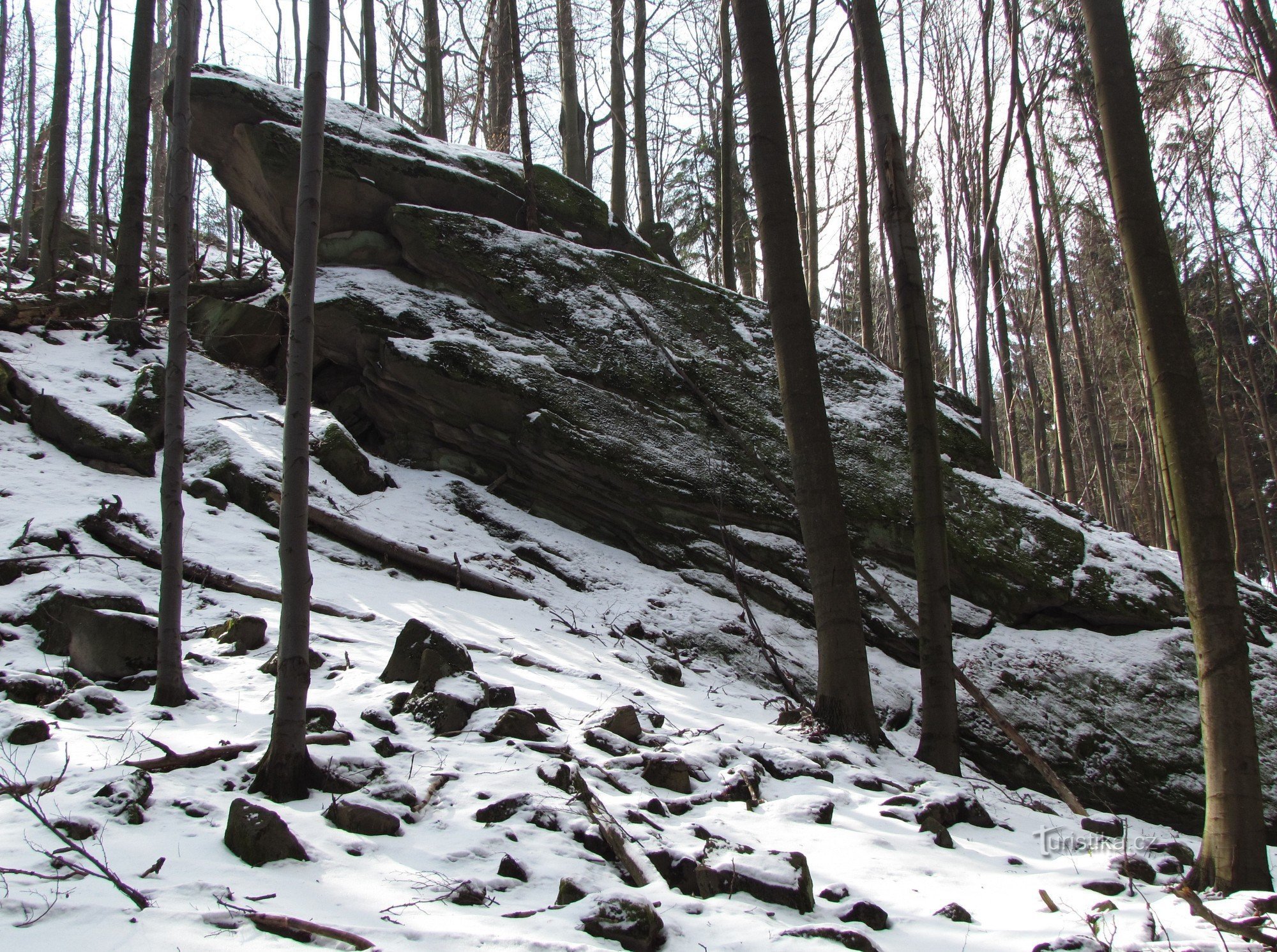 Držková - rocks of the Holíkov reserve