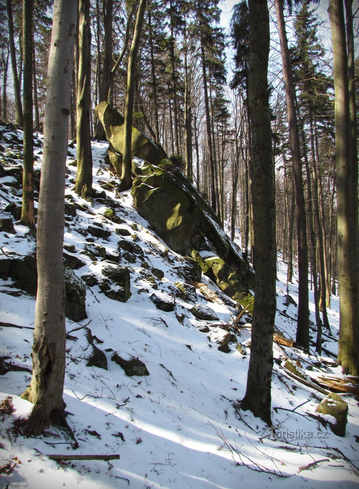 Držková - rotsen van het Holíkov-reservaat