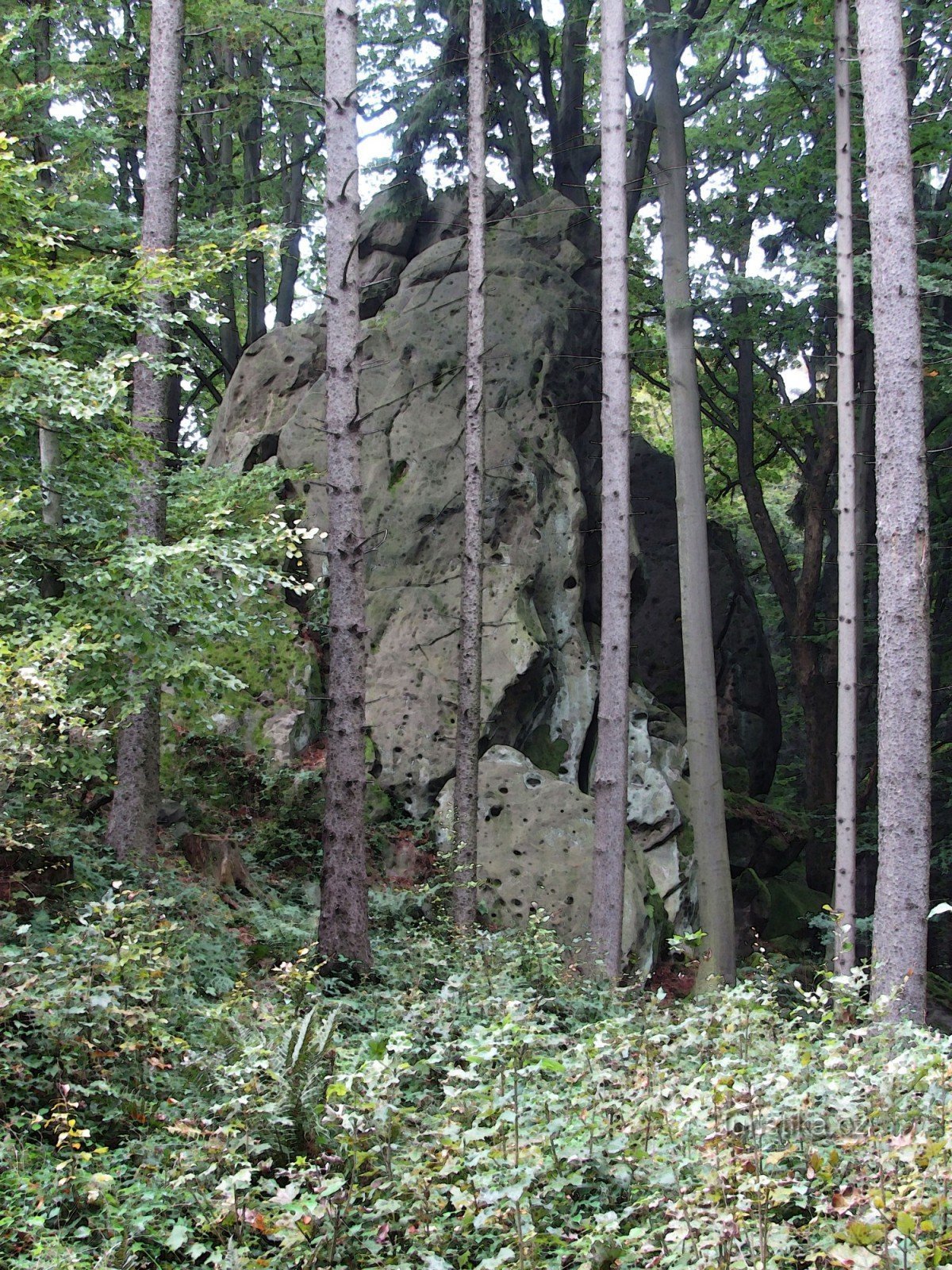 Držková - Rochas traseiras