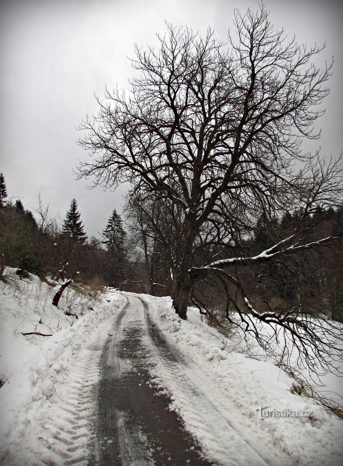 Držkovské údolí Кошаржиск