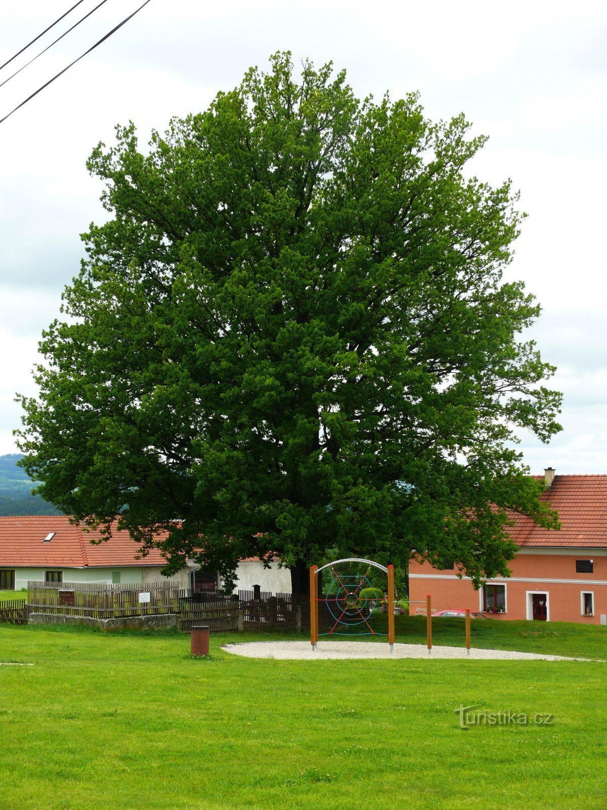 Roble con parte del parque infantil