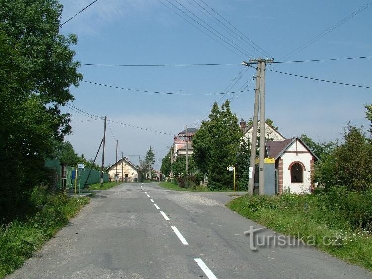 Dubová