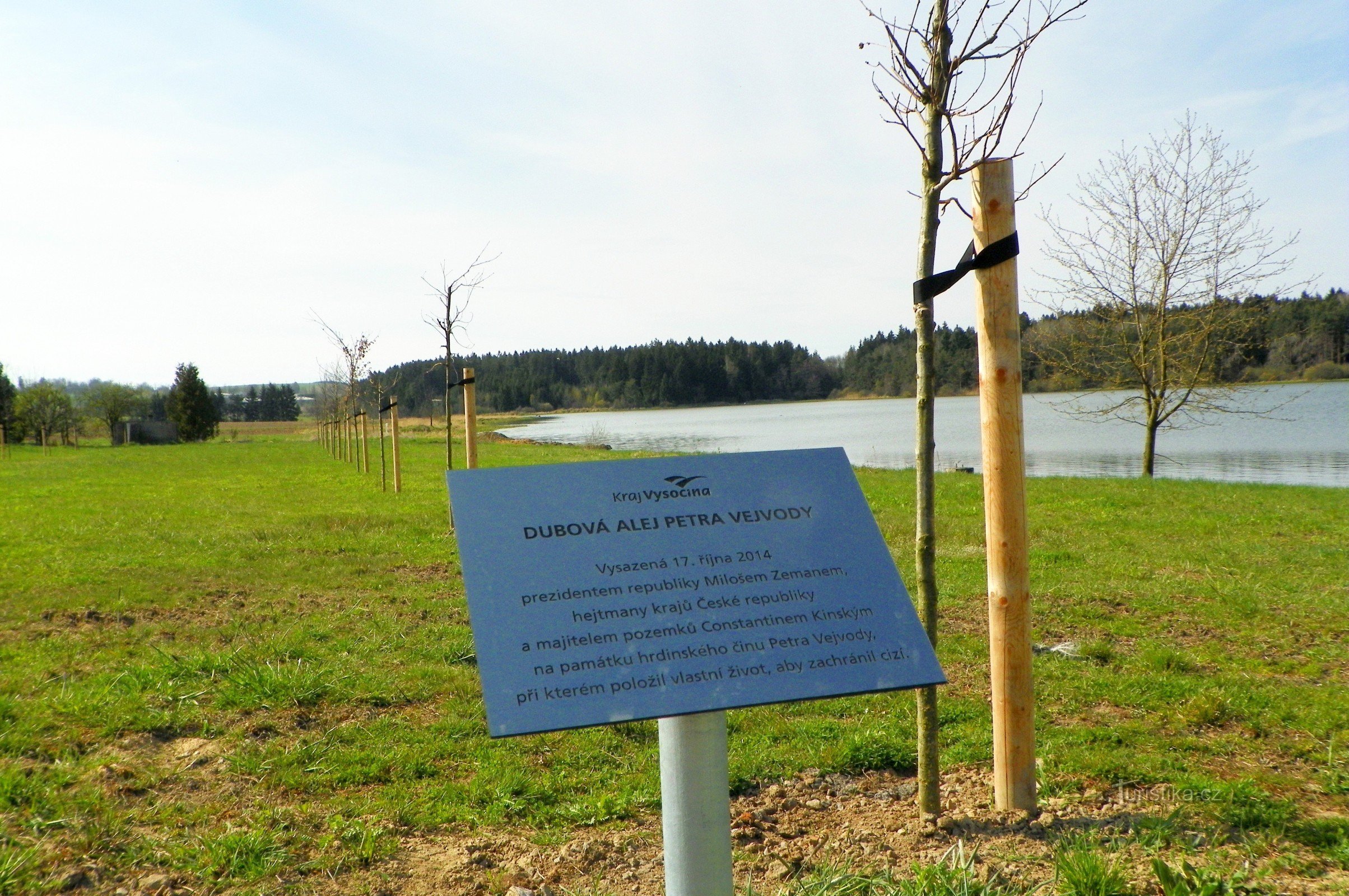 Petr Vejvoda's Oak Alley