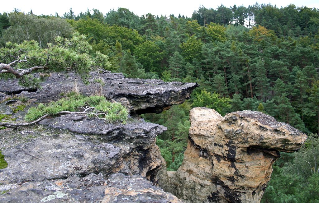 Дубські скелі