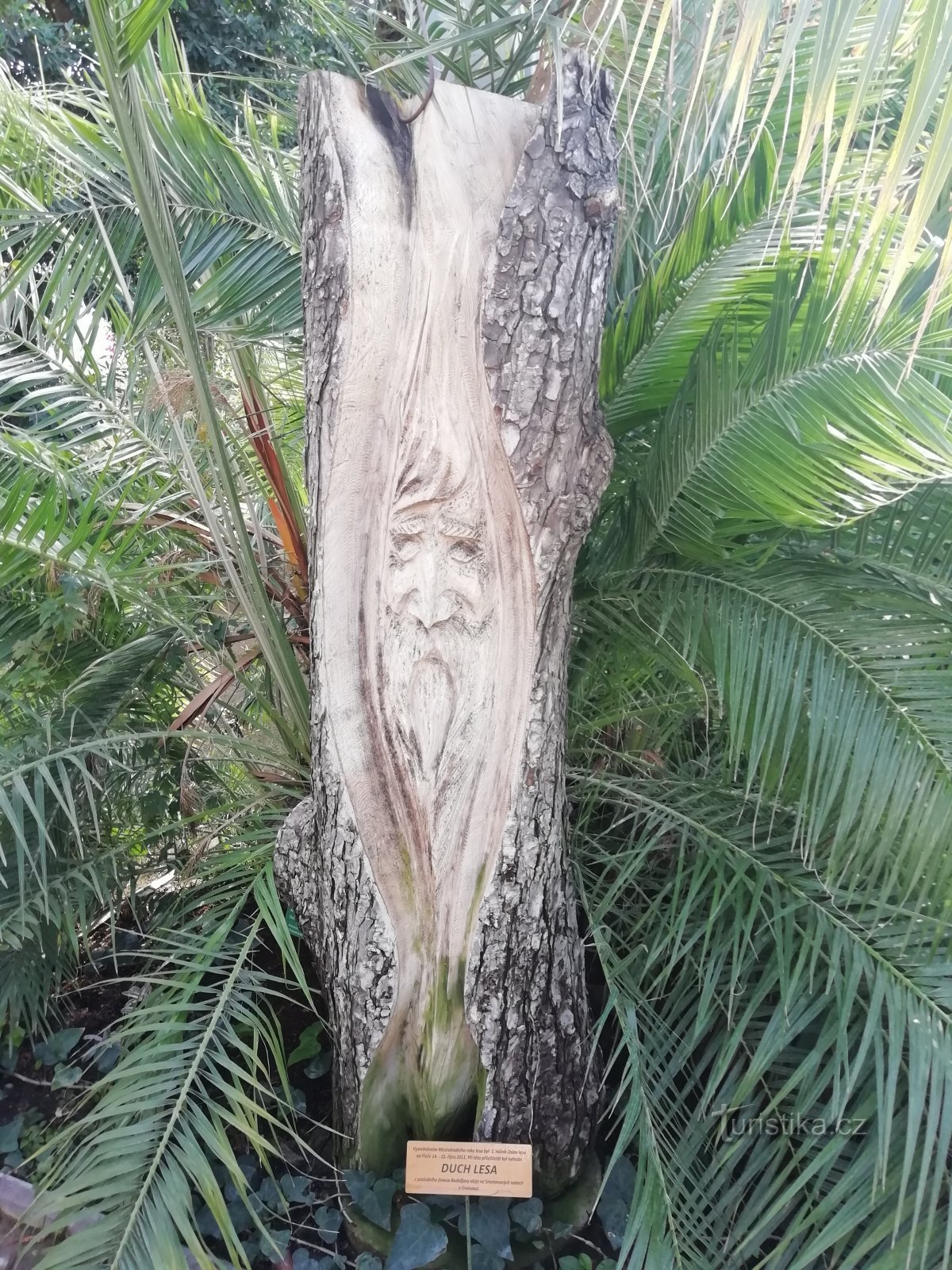Thần rừng - tranh khắc gỗ
