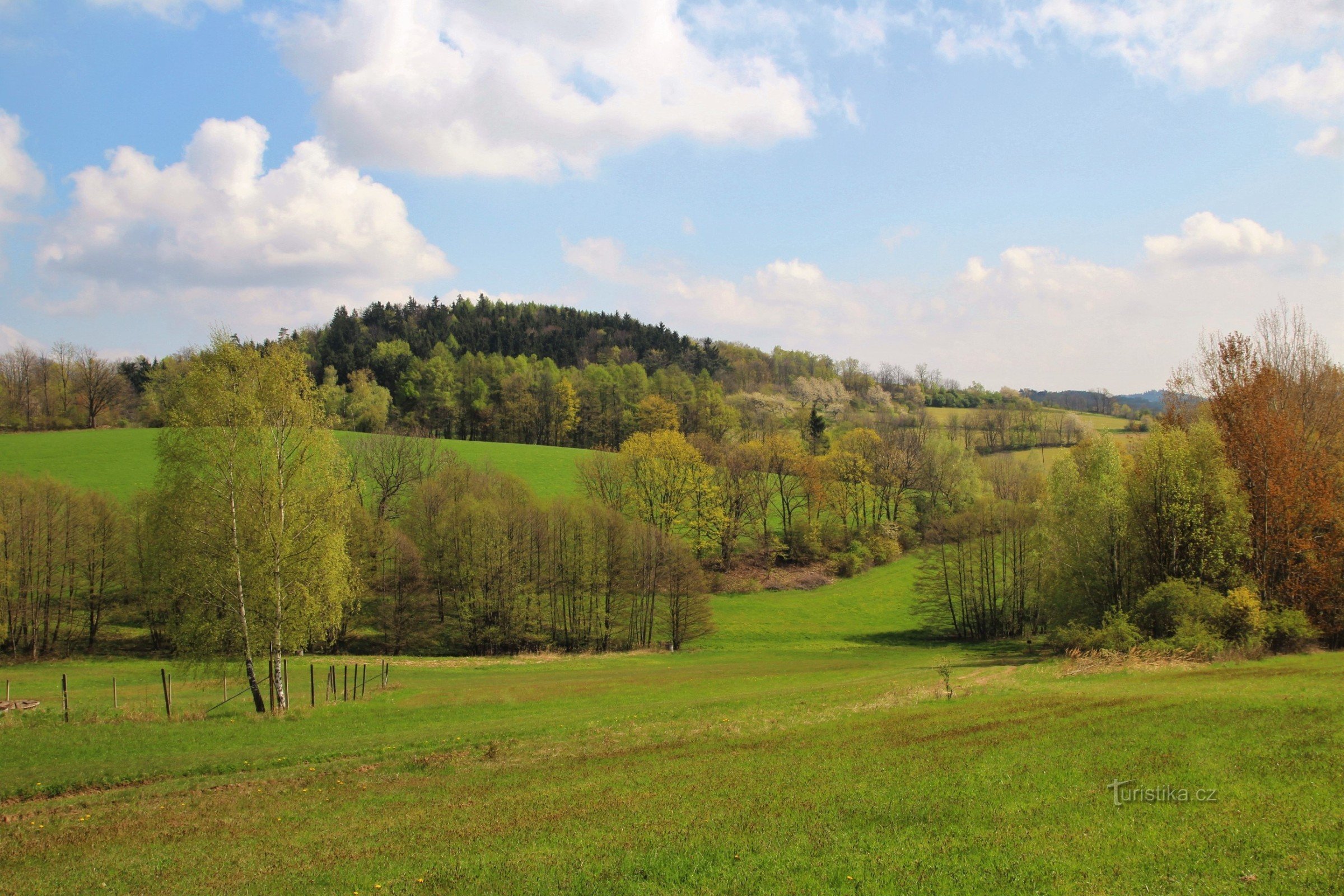 Dudkovice meadows