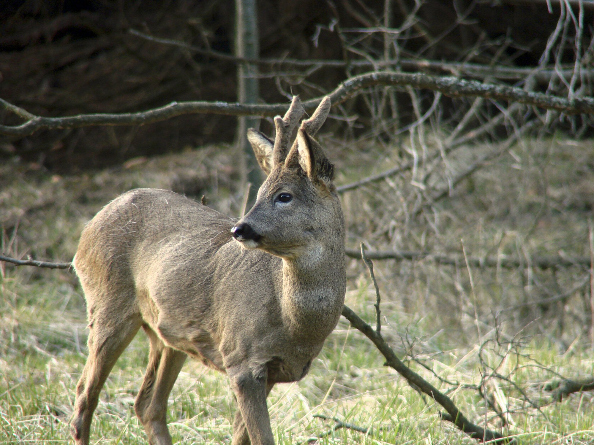 House of Nature of the Czech Forest