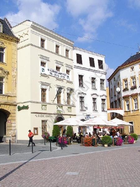 Dům U bílého koníčka