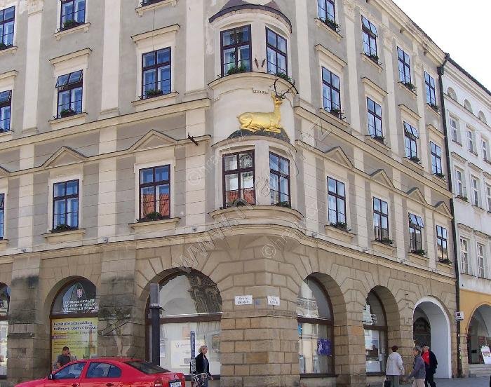 dům U Zlatého jelena