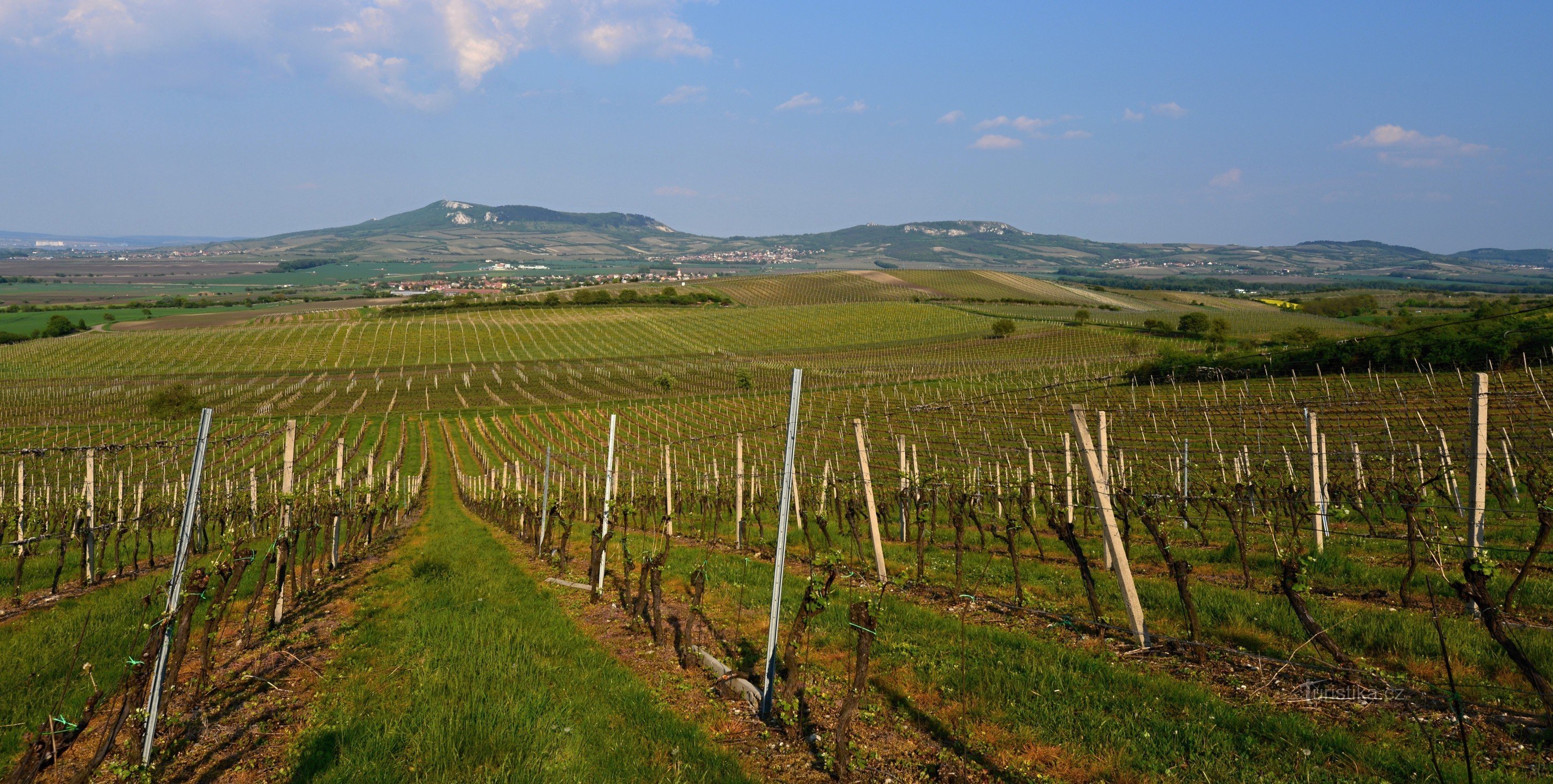 Collines de Dunajovické : vue de Mala Slunečná à Pálava