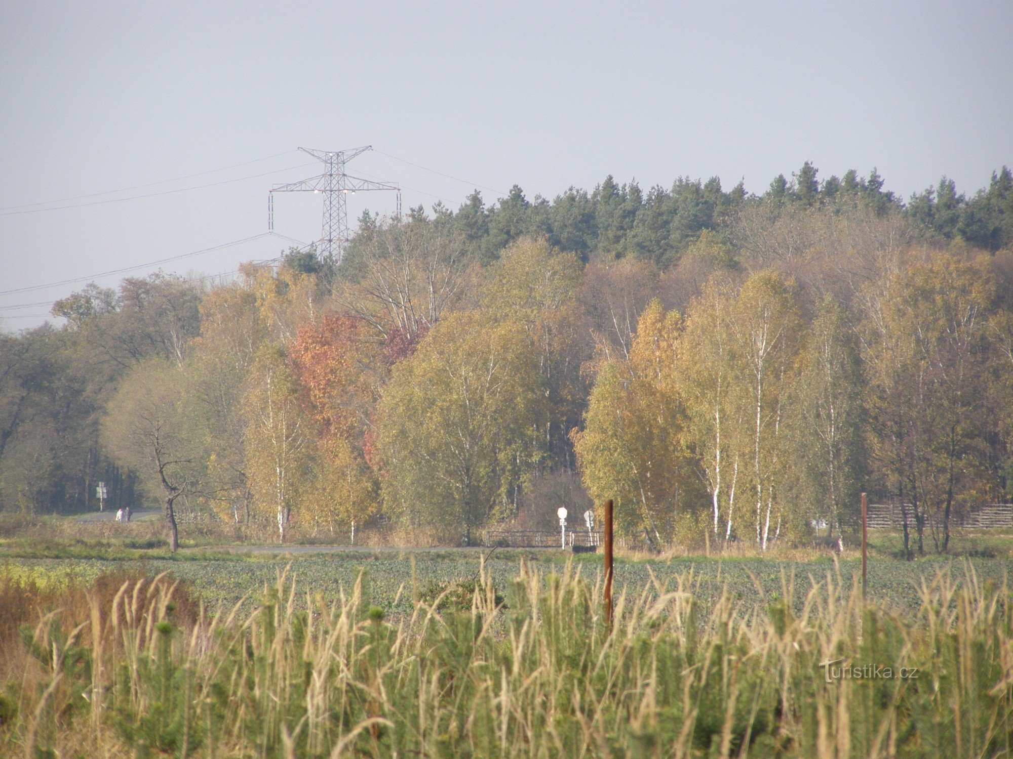 Duinen bij Svárava